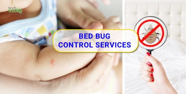 Bed bug pest control services
